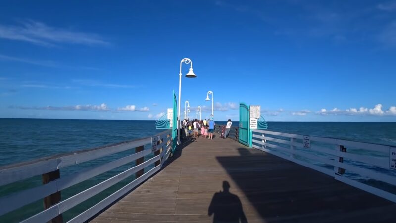 Environmental Considerations at Daytona Beach Pier