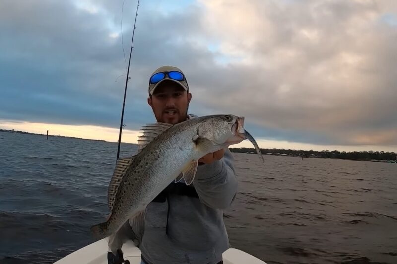 Spotted Sea Trout DAYTONA BEACH