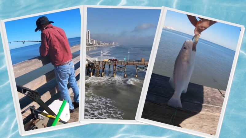 What Fish Can You Catch on Daytona Beach Pier - Angler's Paradise